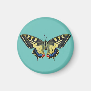 Gelb-schwarzer Schmetterling Magnet