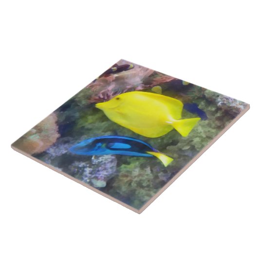 Gelb und Blauer Tang Fliese (Seite)