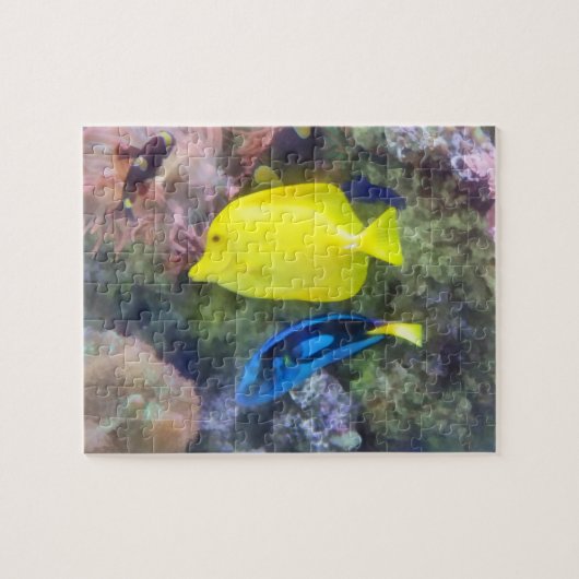 Gelb und Blauer Tang Puzzle (Horizontal)