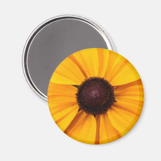 Gelb und braun magnet (Vorderseite/Rückseite)