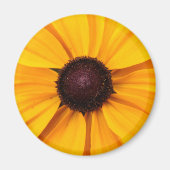 Gelb und braun magnet (Vorne)