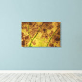 Gelb und braun trockenes Macrolef Leinwanddruck (Insitu (Holzboden))