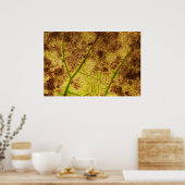 Gelb und braun trockenes Macrolef Poster (Küche)