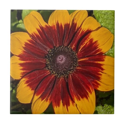 Gelb und Bronze Rudbeckia Floral Fliese (Vorderseite)
