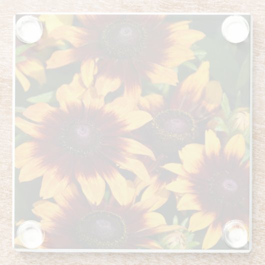 Gelb und Bronze Rudbeckias Floral Glasuntersetzer (Rückseite)