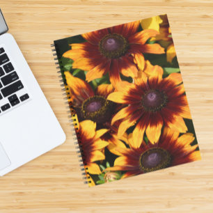 Gelb und Bronze Rudbeckias Floral Notizblock