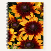 Gelb und Bronze Rudbeckias Floral Notizblock (Vorderseite)