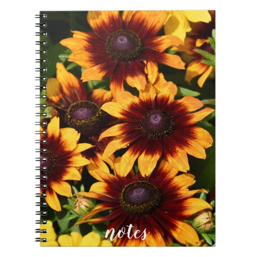 Gelb und Bronze Rudbeckias Floral Notizblock (Vorderseite)