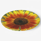Gelb und Bronze-Sonnenblumen Pappteller (Schrägansicht)
