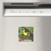 Gelb- und Grünröster Magnet (In Situ (Geschirrspüler))