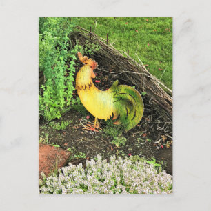 Gelb- und Grünröster Postkarte