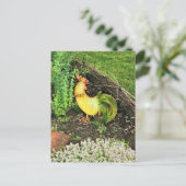 Gelb- und Grünröster Postkarte (Stehend Vorderseite)
