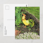 Gelb- und Grünröster Postkarte (Vorne/Hinten)