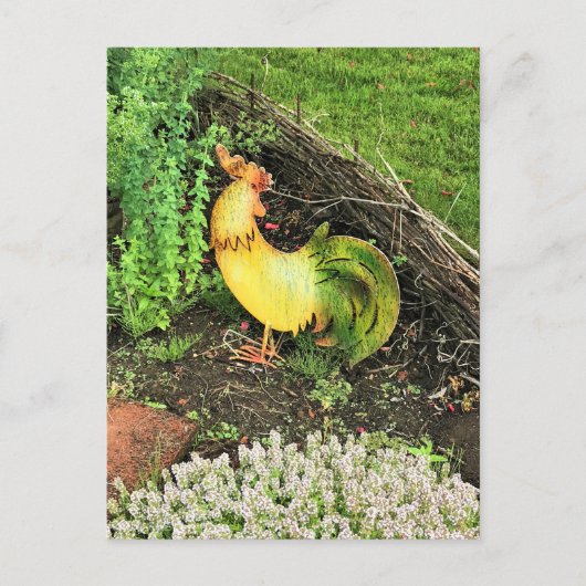 Gelb- und Grünröster Postkarte (Vorderseite)