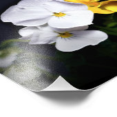 Gelb und Lila Stiefmütterchen Fotodruck (Ecke)