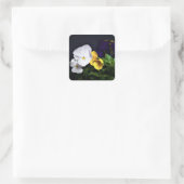 Gelb und Lila Stiefmütterchen Quadratischer Aufkleber (Tasche)