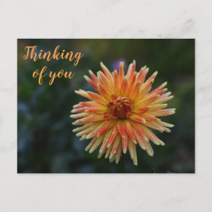 Gelb und orange Dahlia Denken Sie an Sie Postkarte