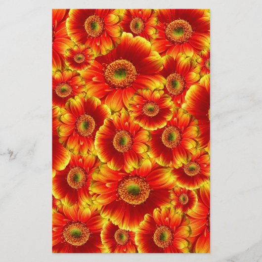 Gelb und Orange Gerbera Daisies Briefpapier (Vorderseite)