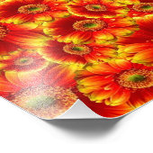 Gelb und Orange Gerbera Daisies Fotodruck (Ecke)