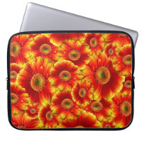 Gelb und Orange Gerbera Daisies