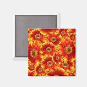 Gelb und Orange Gerbera Daisies Magnet (Vorderseite/Rückseite)