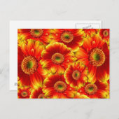 Gelb und Orange Gerbera Daisies Postkarte (Vorne/Hinten)