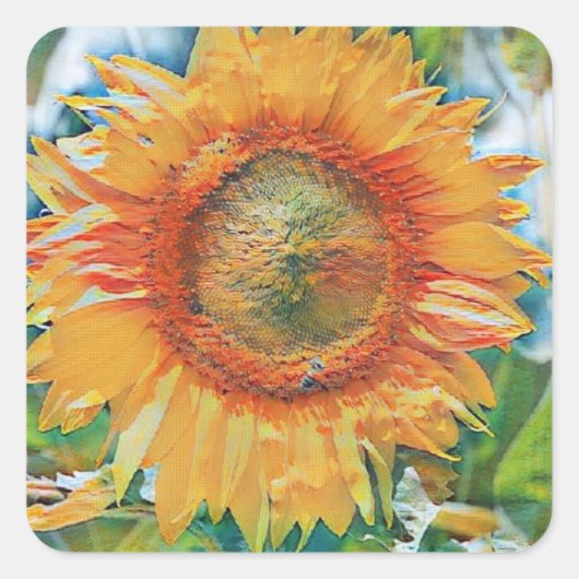 Gelb- und Orangenblütenmalerei Quadratischer Aufkleber (Vorderseite)