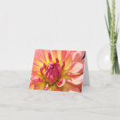 Gelb und rosa Dahlia 4x6 notecard Karte (Vorderseite)