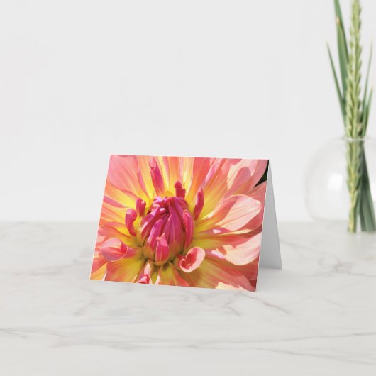 Gelb und rosa Dahlia 4x6 notecard Karte (Vorderseite)