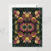 Gelb und rosa Dahlias Postkarte (Vorne/Hinten)