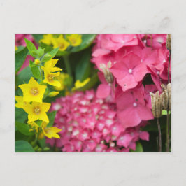 Gelb und Rosa Feiertagspostkarte