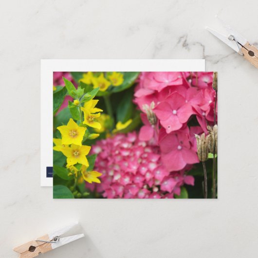 Gelb und Rosa Karte (Vorderseite/Rückseite Beispiel)