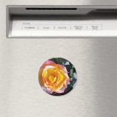 gelb und rosa magnet (In Situ (Geschirrspüler))