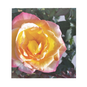 gelb und rosa notizblock