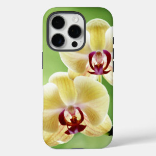 Gelb und rosa Orchidee iPhone 16 Pro Hülle