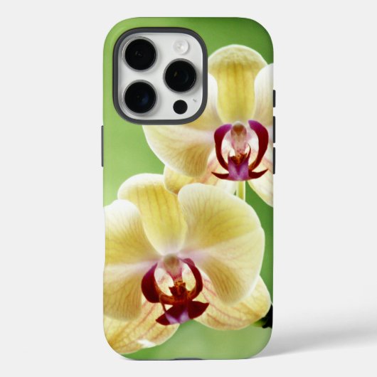 Gelb und rosa Orchidee Case-Mate iPhone Hülle (Rückseite)