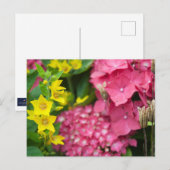 Gelb und Rosa Postkarte (Vorne/Hinten)