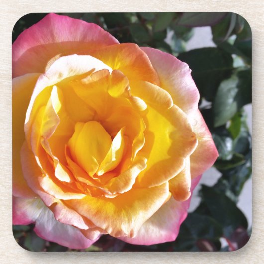 gelb und rosa untersetzer (Vorderseite)