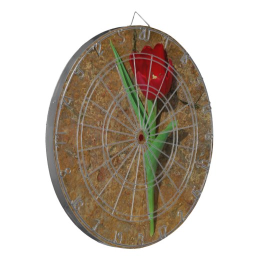 Gelb und Rot Dartscheibe (Vorderseite Links)