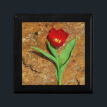Gelb und Rot Erinnerungskiste<br><div class="desc">Frühlingsroter Tulip gegen einen braunen Felsen am Arrowhad-See. Foto von Sandy Closs. Ostern,  Blumen,  rote Blume,  Frühling,  Valentine,  Valentine,  Hochzeiten,  Hochzeiten,  Valentinstag</div>