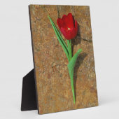 Gelb und Rot Fotoplatte (Seite)