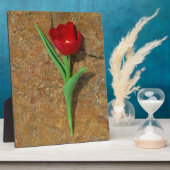 Gelb und Rot Fotoplatte (Seite)