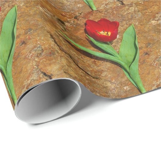 Gelb und Rot Geschenkpapier (Rolleneckpunkt)