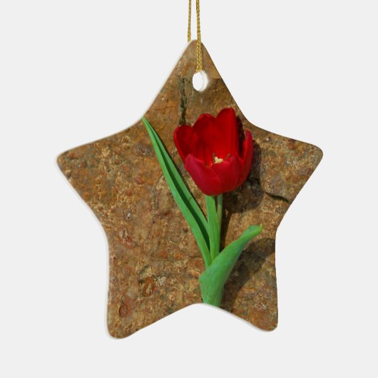 Gelb und Rot Keramikornament (Rechts)