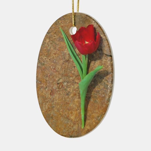 Gelb und Rot Keramikornament (Links)