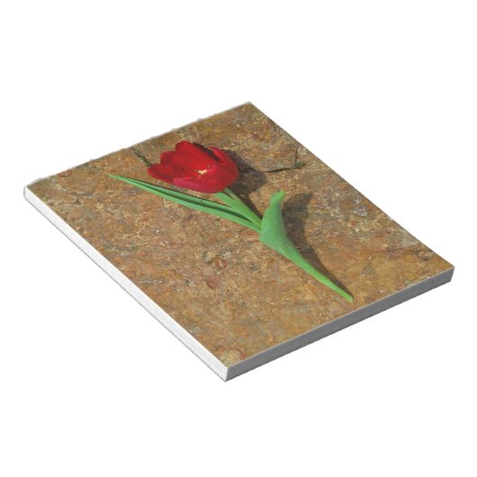 Gelb und Rot Notizblock (angewinkelt)