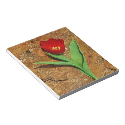 Gelb und Rot Notizblock (angewinkelt)