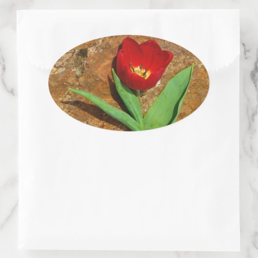 Gelb und Rot Ovaler Aufkleber (Tasche)