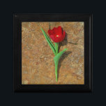 Gelb und Rot Schmuckschachtel<br><div class="desc">Frühlingsgelb und Rot Tulip,  brauner Felsen am Arrowhad-See. Foto von Sandy Closs. Ostern,  Blumen,  rote Blume,  Frühling,  Valentine,  Valentine,  Hochzeiten,  Hochzeiten,  Valentinstag</div>