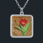 Gelb und Rot Versilberte Kette<br><div class="desc">Frühlingsroter Tulip gegen einen braunen Felsen am Arrowhad-See. Foto von Sandy Closs. Ostern,  Blumen,  rote Blume,  Frühling,  Valentine,  Valentine,  Hochzeiten,  Hochzeiten,  Valentinstag</div>
